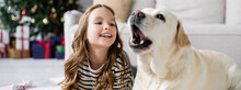 Positive Girl Looking At Blurred Labrador During Christmas In Living Room, Banner