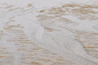 Beach sand texture. Beach during low tide. Beach background