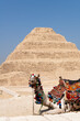 Stufenpyramide in Sakkara auf einem blauen Himmel in der Steinwüste mit einem Camel im Vordergrund.