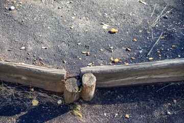 Poster - Closeup of big logs on the ground