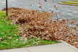 During autumn season, municipal workers cleaning sidewalks by collecting leaf piles of dried leaves piling them up using leaf blower