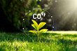 Carbon dioxide emissions, carbon footprint concept