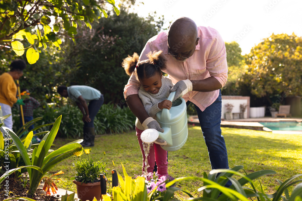 Happy senior african american man and his granddaughter watering plants ...