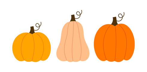 Wall Mural - three pumpkins icons on white background.