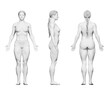 © Sebastian Kaulitzki - 3d rendered medical illustration of a female bodybuilder body