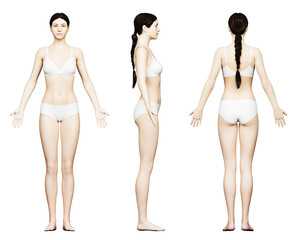 Wall Mural - 3d rendered medical illustration of a tall female body