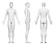 © Sebastian Kaulitzki - 3d rendered medical illustration of a tall male body