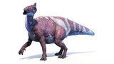 3d rendered dinosaur illustration of the Edmontosaurus
