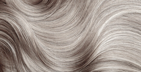 Wall Mural - Blond hair close-up as a background. Women's long blonde hair. Beautifully styled wavy shiny curls. Hair coloring. Hairdressing procedures, extension. White hair