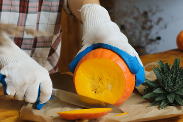 Making DIY pumpkin succulent planter for Thanksgiving home decor