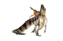 Dinosaur , Spinosaurus Isolated Background