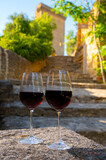 Fototapeta Krajobraz - Glass of red dry wine and ruins of medieval castle of Châteauneuf-du-Pape ancient wine making village in France