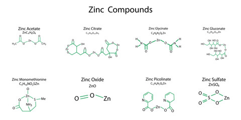 zinc compounds on white background. Infographic element. Education concept. chemical formula. Vector illustration. stock image.