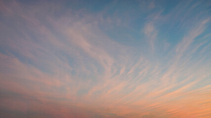 Wall Mural - fine wispy pale salmon pink clouds at sunset