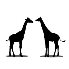 Wall Mural - giraffe silhouette vector illustration