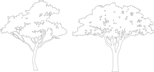 Set of Africa outline trees vector.