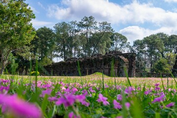 Canvas Print - Jesuit Mission of the Holy Trinity in the green field behind the pink flowers