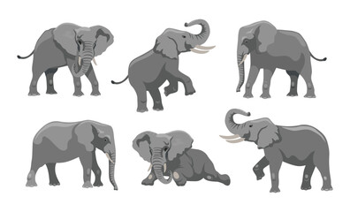 gray elephant in different positions cartoon illustration set. big african mammal character with lar