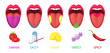 Five basic lingual areas such as umami, salty, sour, sweet, spicy cartoon vector illustration set. Human mouths and tongue taste receptors isolated on white background. Physiology and anatomy concept
