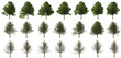 Ahorn tree set with transparent background