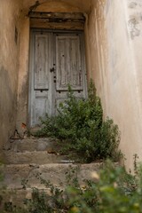 Canvas Print - Vertical low-angle view of an old, rustic door with bushes in front of it