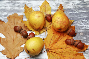 Wall Mural - mouth-watering tasty pear in the studio