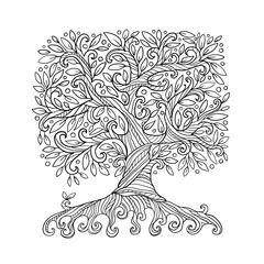 Wall Mural - Old big family tree with roots. Isolated on white background. Concept Art for your design. Design interior ideas. Colouring page