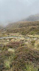 Sticker - Lande volcanique du parc de Tongariro - Nouvelle Zélande