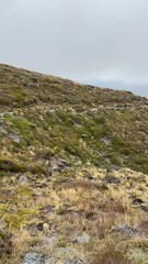 Poster - Lande volcanique du parc de Tongariro - Nouvelle Zélande