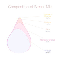 composition of human breast milk - water, carbohydrates, fats, proteins, vitamins and minerals in a 