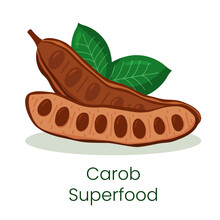Carob Fruit Icon Isolated On White Background. Natural Superfood Concept. Alternative Healthy Product. Vector Illustration