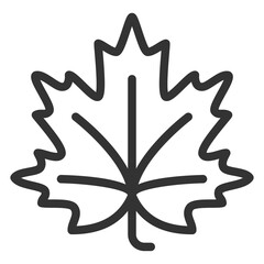 autumn maple leaf - icon, illustration on white background, outline style