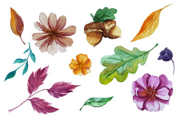  Hand drawn watercolor set of flowers and leaves. Autumn. October. November. September. Watercolor. Elements for decor. Holidays. Aroma. Texture.
