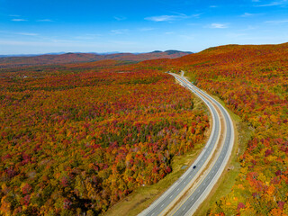 Canvas Print - Aerial view of road in colorful autumn mountain forest