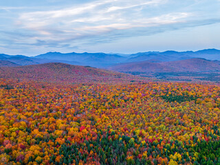 Canvas Print - Aerial view of autumn mountain forest