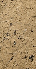 Poster - Vertical shot of Drought on a sunny day