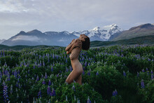Nude Woman Standing In The Purple Flower Field Looking At Mountains
