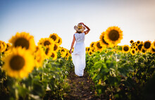 Elegant Spanish Woman In Sunflower Field In El Puerto De Santa Maria, Andalusia Spain