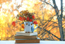 Autumn Lifestyle Composition, Hygge Mood. Owl-shaped Ceramic Cup With Dry Flowers And Books On Table In Garden, Abstract Natural Background. Cosy Scenery.