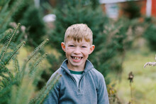 Little Boy Standing In Between Christmas Trees At A Tree Farm