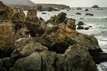 Sea Gull Sits Along On Rugged Rocks On Coast
