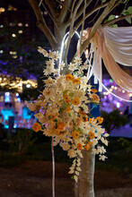 Closeup Of Arrangement Of Flower Trellis With Lighting Atmosphere