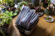 © Holly Clark/Stocksy - Small basket of Christmas Cards sit on wooden table with plants