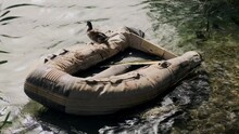 Abandoned Rubber Boat Near River Bank, Duck Sits On It And Jumps Into Water. Concept Of Post-apocalyptic World Or War. Inflatable Boat In Poor Condition Floats On Water In Lake.