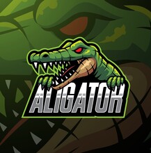 Alligator Sport Mascot 