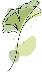 Wall Mural - One line drawing of ginkgo leaf illustration