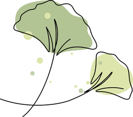 Wall Mural - continuous line drawing of ginkgo leaf illustration