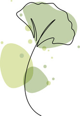 Wall Mural - One line drawing of ginkgo leaf illustration