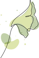Wall Mural - continuous line drawing of ginkgo leaf illustration