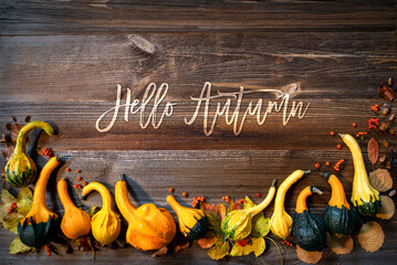 Wall Mural - Autumn Pumpkin Decoration, Text Hello Autumn, Wooden Background